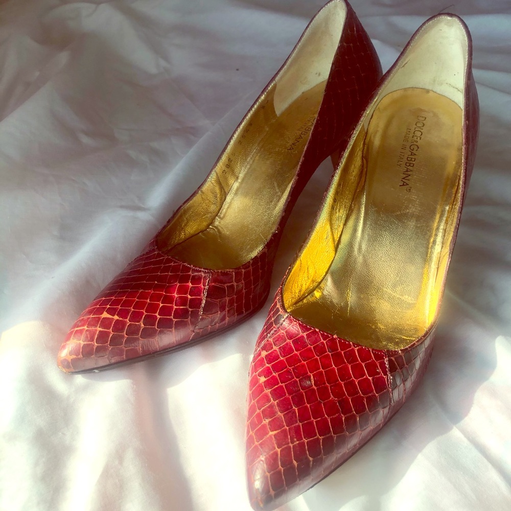 Dolce & Gabbana Vero Cuoio Python Heels-2825254336